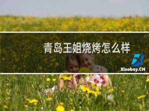 青岛王姐烧烤怎么样
