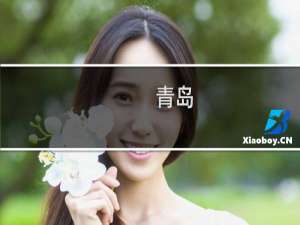 青岛 网站优化