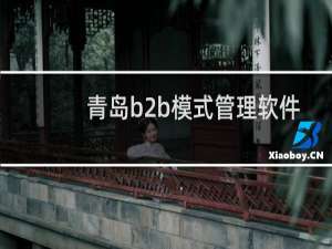 青岛b2b模式管理软件