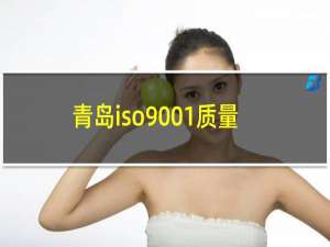 青岛iso9001质量体系认证