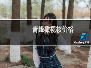 青峰橄榄核价格