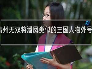 青州无双将潘凤类似的三国人物外号什么梗
