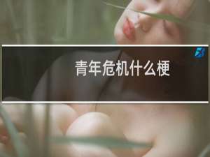 青年危机什么梗