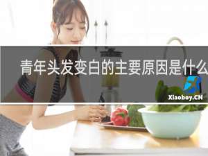 青年头发变白的主要原因是什么呢