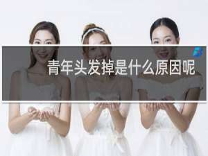 青年头发掉是什么原因呢