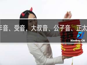 青年音、受音、大叔音、公子音、正太音什么梗
