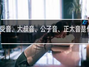 青年音、受音、大叔音、公子音、正太音是什么意思什么梗