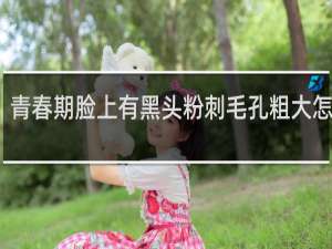 青春期脸上有黑头粉刺毛孔粗大怎么办