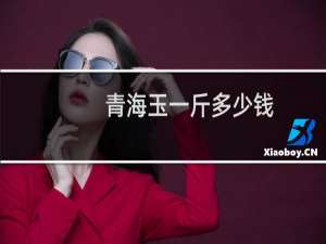 青海玉一斤多少钱