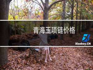 青海玉项链价格