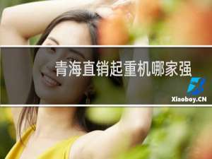 青海直销起重机哪家强