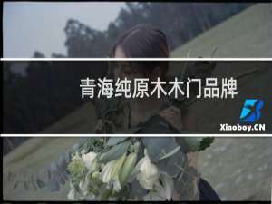 青海纯原木木门品牌