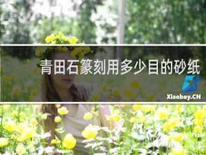 青田石篆刻用多少目的砂纸