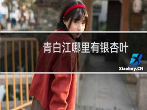 青白江哪里有银杏叶