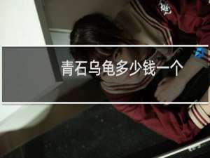 青石乌龟多少钱一个