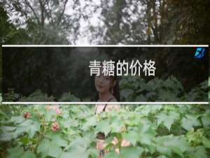青糖的价格
