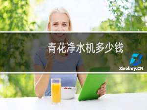 青花净水机多少钱
