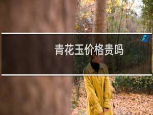 青花玉价格贵吗