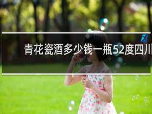 青花瓷酒多少钱一瓶52度四川