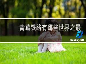 青藏铁路有哪些世界之最