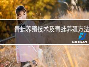 青蛙养殖技术及青蛙养殖方法