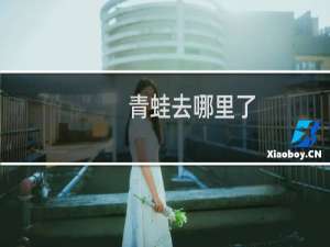 青蛙去哪里了