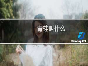 青蛙叫什么