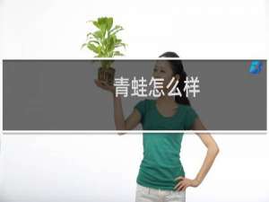 青蛙怎么样