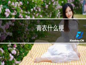 青衣什么梗