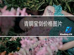 青铜宝剑价格图片