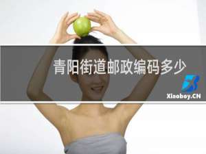 青阳街道邮政编码多少