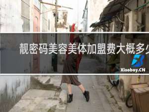 靓密码美容美体加盟费大概多少