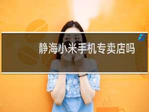 静海小米手机专卖店吗
