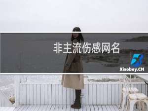 非主流伤感网名（非主流伤感网名大全）