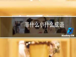 非什么小什么成语