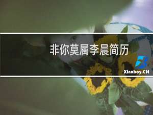 非你莫属李晨简历