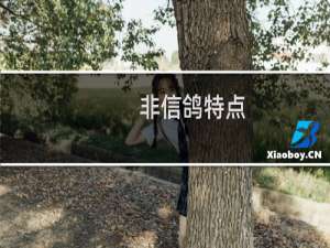 非信鸽特点