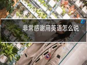 非常感谢用英语怎么说