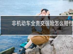 非机动车全责交强险怎么赔付