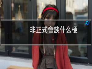 非正式會談什么梗