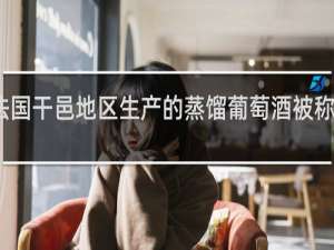 非法国干邑地区生产的蒸馏葡萄酒被称为什么酒