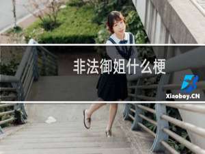 非法御姐什么梗？什么梗