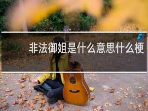 非法御姐是什么意思什么梗