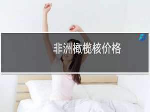 非洲橄榄核价格