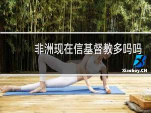 非洲现在信基督教多吗吗