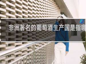 非洲著名的葡萄酒生产国是指哪里
