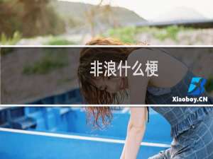 非浪什么梗