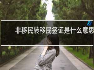 非移民转移民签证是什么意思