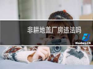 非耕地盖厂房违法吗
