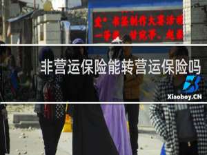 非营运保险能转营运保险吗
